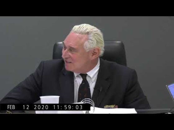 Roger Stone Video Deposition in Corsi/Klayman Defamation Suits